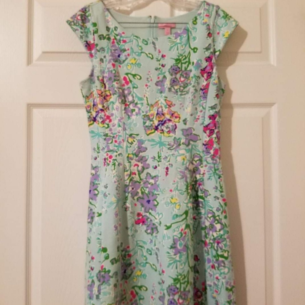 Medium Lilly Pulitzer Southern Charm Briella Dress